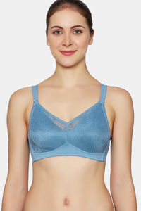 Provincial Blue